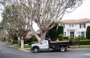 A Caccia Plumbing truck parked in front of an older home in San Francisco's Bay Area.