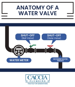 Infographic showing the anatomy of a residential water valve