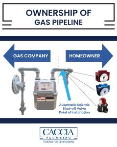 Diagram of gas meter and plumbing showing what parts are owned by the gas company versus the homeowner.