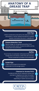 Infographic showing the anatomy of a grease trap