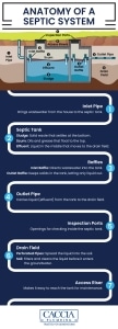 Infographic showcasing the anatomy of a septic system 