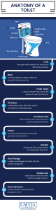 Infographic showing anatomy of a toilet