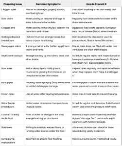 Table listing plumbing issues with its common symptoms and how to prevent it