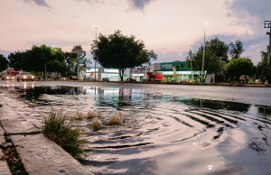 Water backs up out of a sewer drain