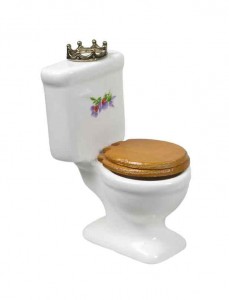 San Mateo Toilet-History