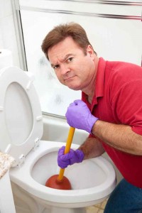 San Mateo Toilet Repair Services