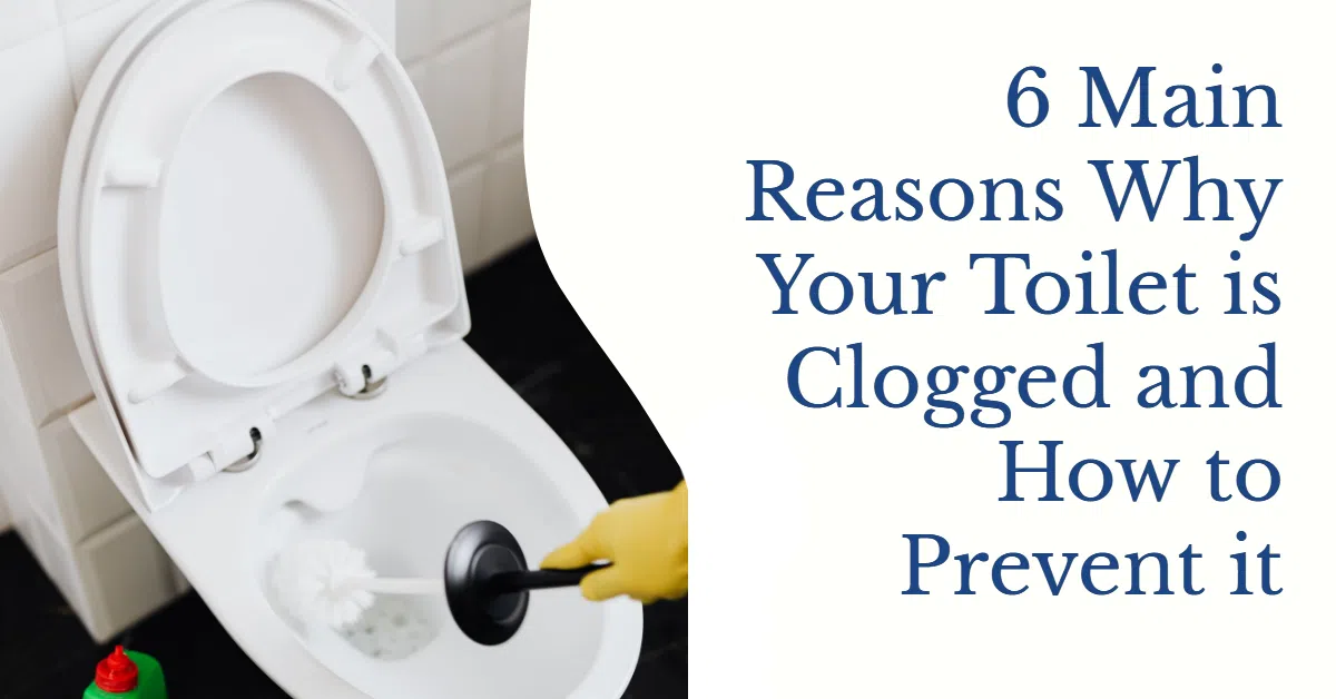 6 Main Reasons Why Your Toilet is Clogged and How to Prevent it