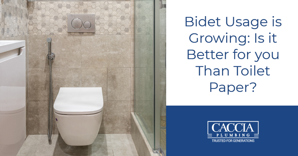 Bidet Usage is Growing Is it Better for you Than Toilet Paper