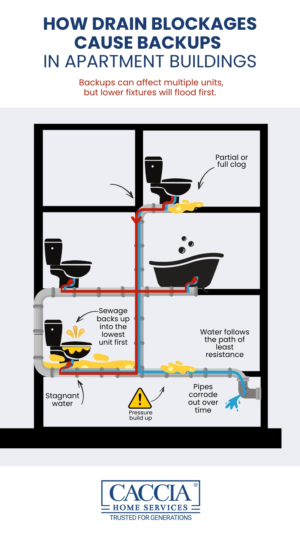 Infographic About How Drain Blockages Cause Backups in Apartment Buildings