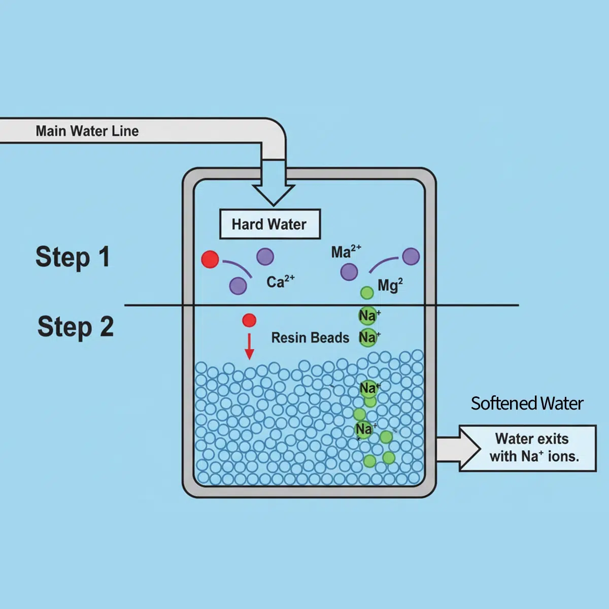 A graphic showing the ion exchange process inside a water softener. Step 1: Hard water containing calcium and magnesium ions enters the softener tank from the main water line. Step 2: Water passes through a bed of resin beads that attract and hold the calcium and magnesium ions, releasing sodium (or potassium) ions in exchange.