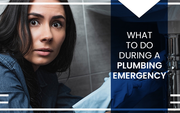 Image with blog title "What to Do During a Plumbing Emergency" over an image of a shocked looking woman with rubber gloves on looking at the plumbing under a bathroom sink.