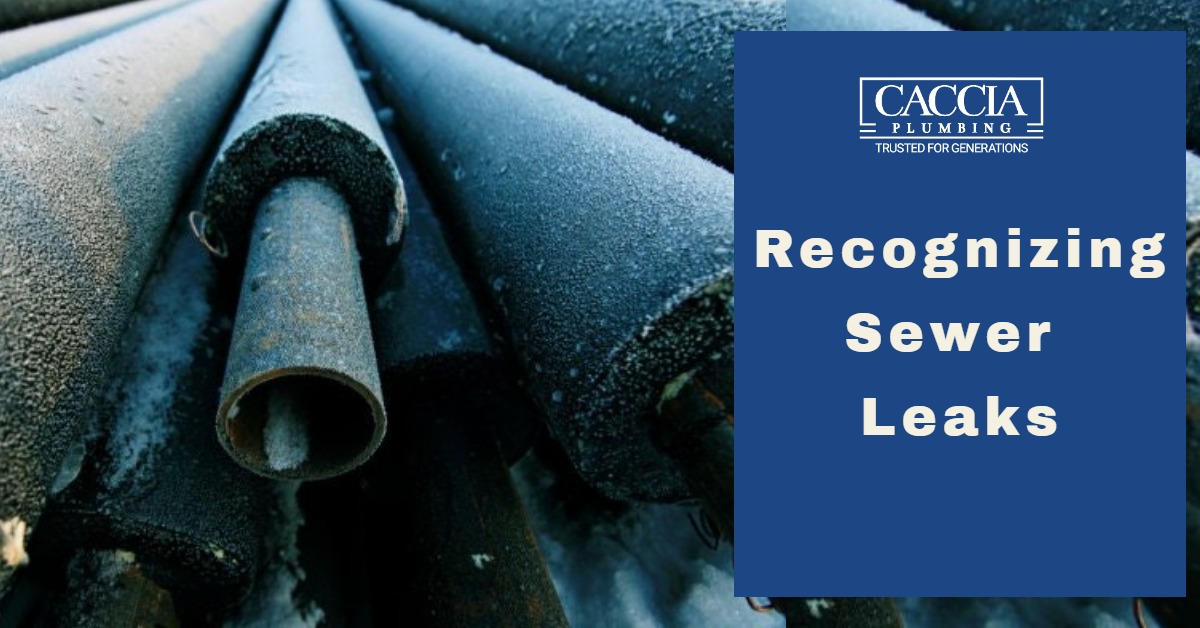 Recognizing Sewer Leaks