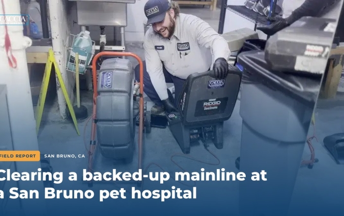 Caccia technician setting up a RIDGID camera and drum auger at a San Bruno pet hospital, with the field report title