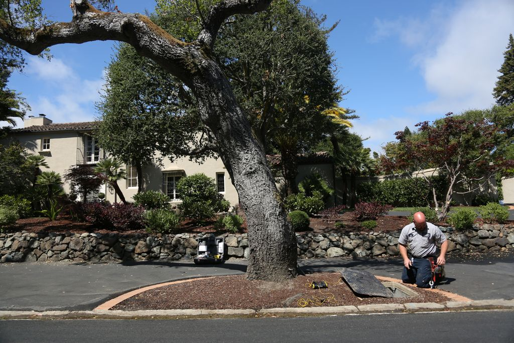 A plumber from Caccia Home Services looks for leaks in the driveway of a customer's home