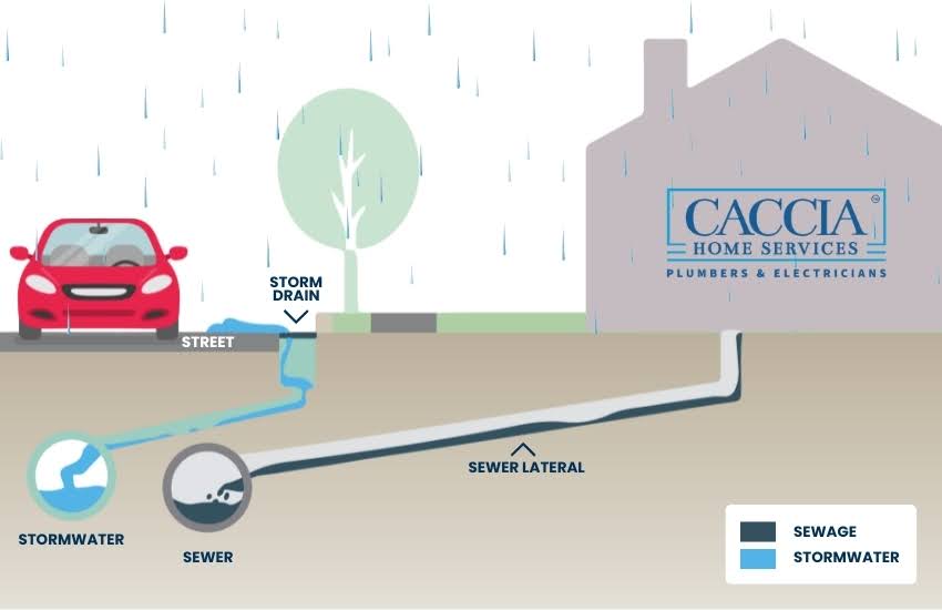 Different Sewer Types in California & How to Prevent Them from Clogging 1 Infographic showing stormwater and sewer lateral